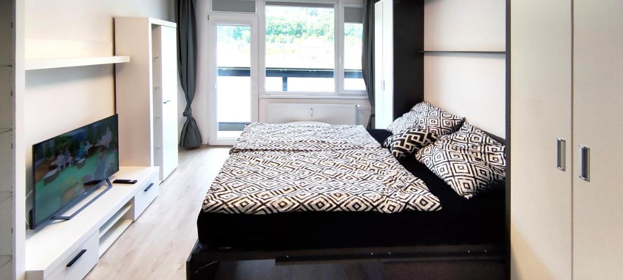 Utulny Apartman V Centru, S Krasnym Vyhledem Decin Buitenkant foto