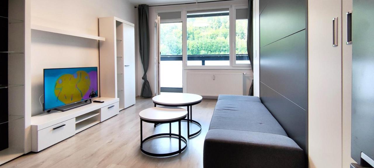 Utulny Apartman V Centru, S Krasnym Vyhledem Decin Buitenkant foto