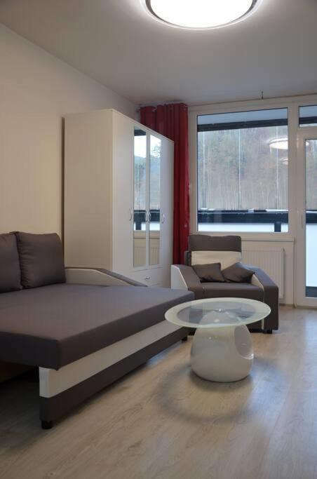 Utulny Apartman V Centru, S Krasnym Vyhledem Decin Buitenkant foto