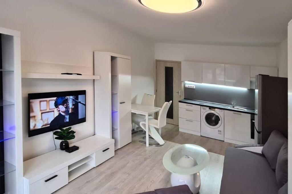 Utulny Apartman V Centru, S Krasnym Vyhledem Decin Buitenkant foto